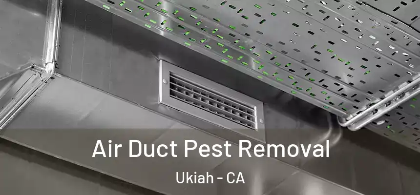  Air Duct Pest Removal Ukiah - CA