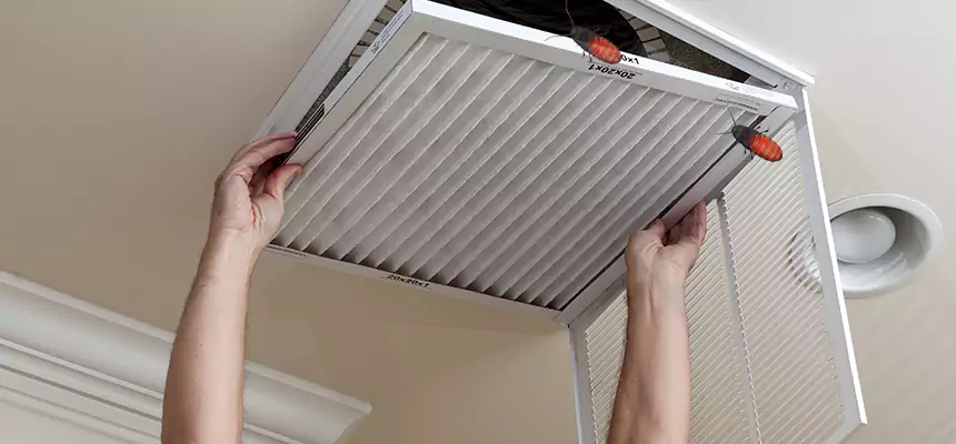 Our Insect Removal from Air Ducts Services in Ukiah, CA