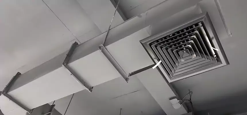 Our Pest Removal From Ducts Services in Ukiah, CA