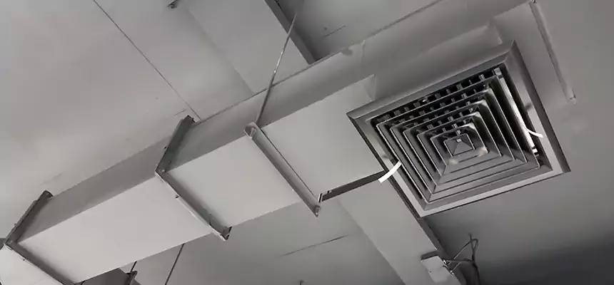 Our Rodent Droppings In Vents Services in Ukiah, CA