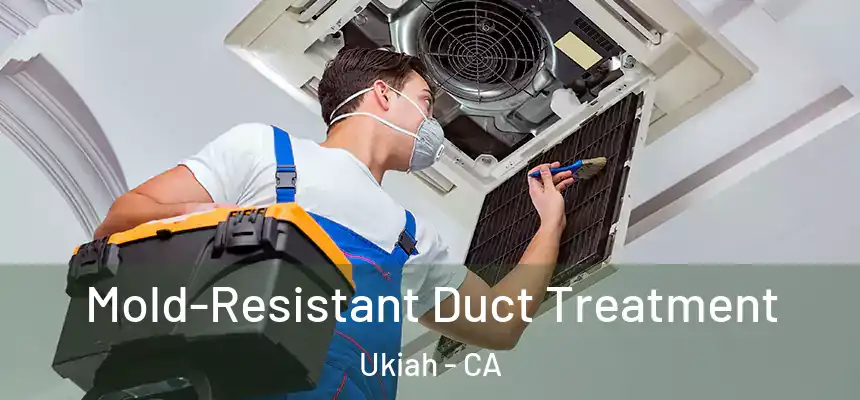  Mold-Resistant Duct Treatment Ukiah - CA