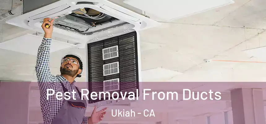  Pest Removal From Ducts Ukiah - CA