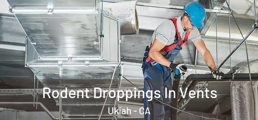  Rodent Droppings In Vents Ukiah - CA