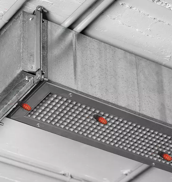 About Air Duct Cockroach Removal in Ukiah, CA