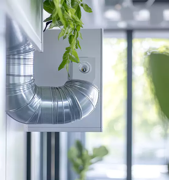 Professional Eco-Friendly Duct Cleaning Services in Ukiah, CA