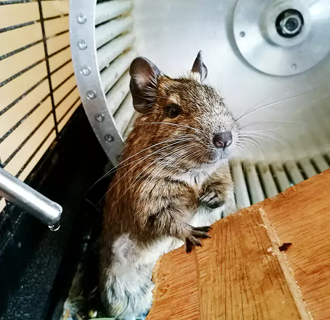 Why Homeowners & Businesses Trust Us Ukiah, CA