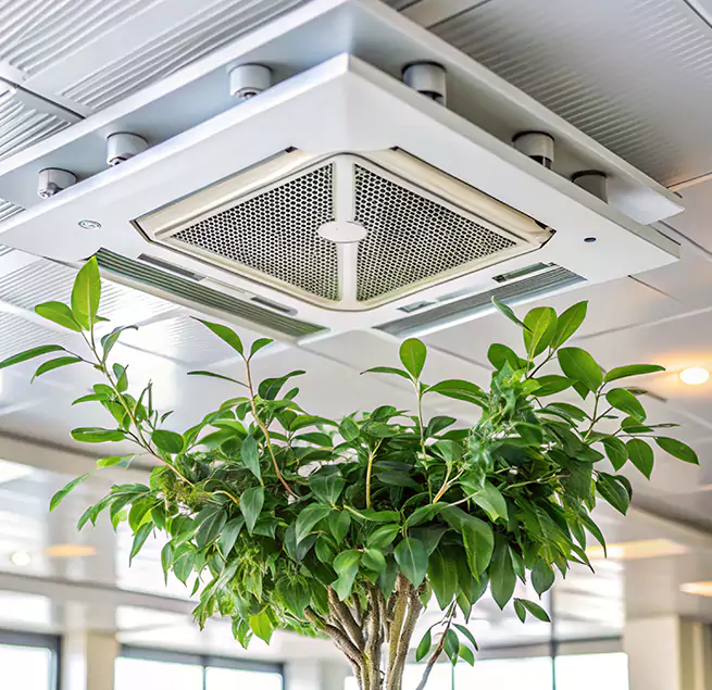 Why Homeowners & Businesses Trust Us in Ukiah, CA?