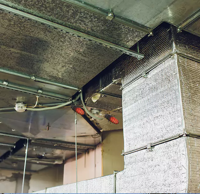 Why Homeowners & Businesses Trust Us Ukiah, CA?