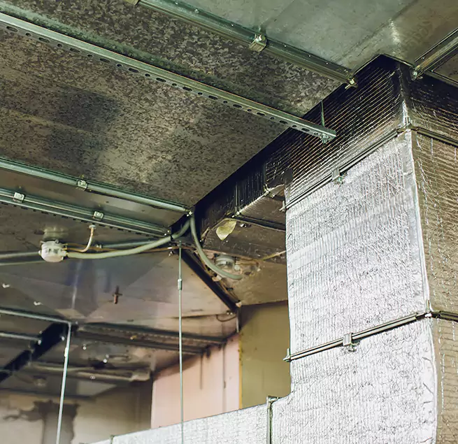 Why Homeowners & Businesses Trust Us in Ukiah, CA?